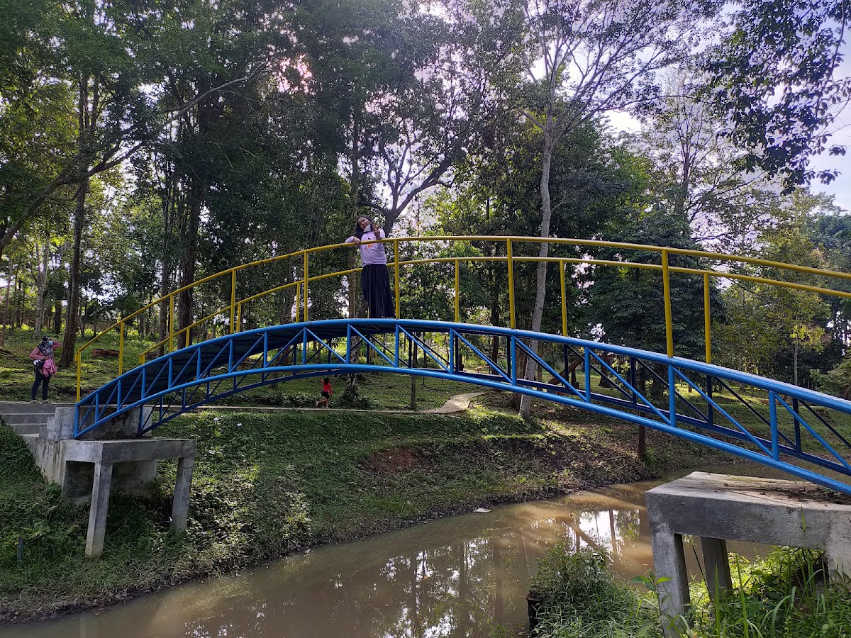 Hutan Kota Muhammad Sabki Kota Jambi