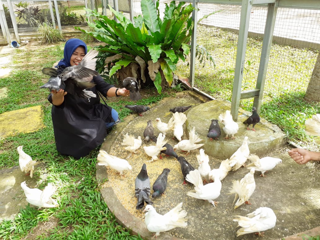 Taman Wisata Air Kito