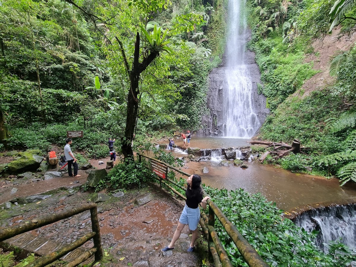 Air Terjun Curug Ciismun Kebun Raya Cibodas, BRIN