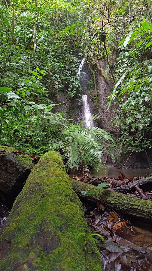 Air terjun induk Lu