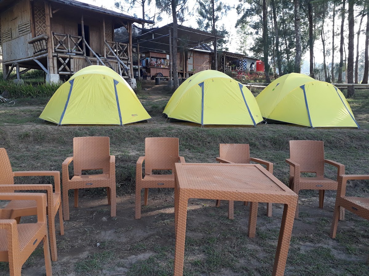 Camping Ground Pinus Cunthel