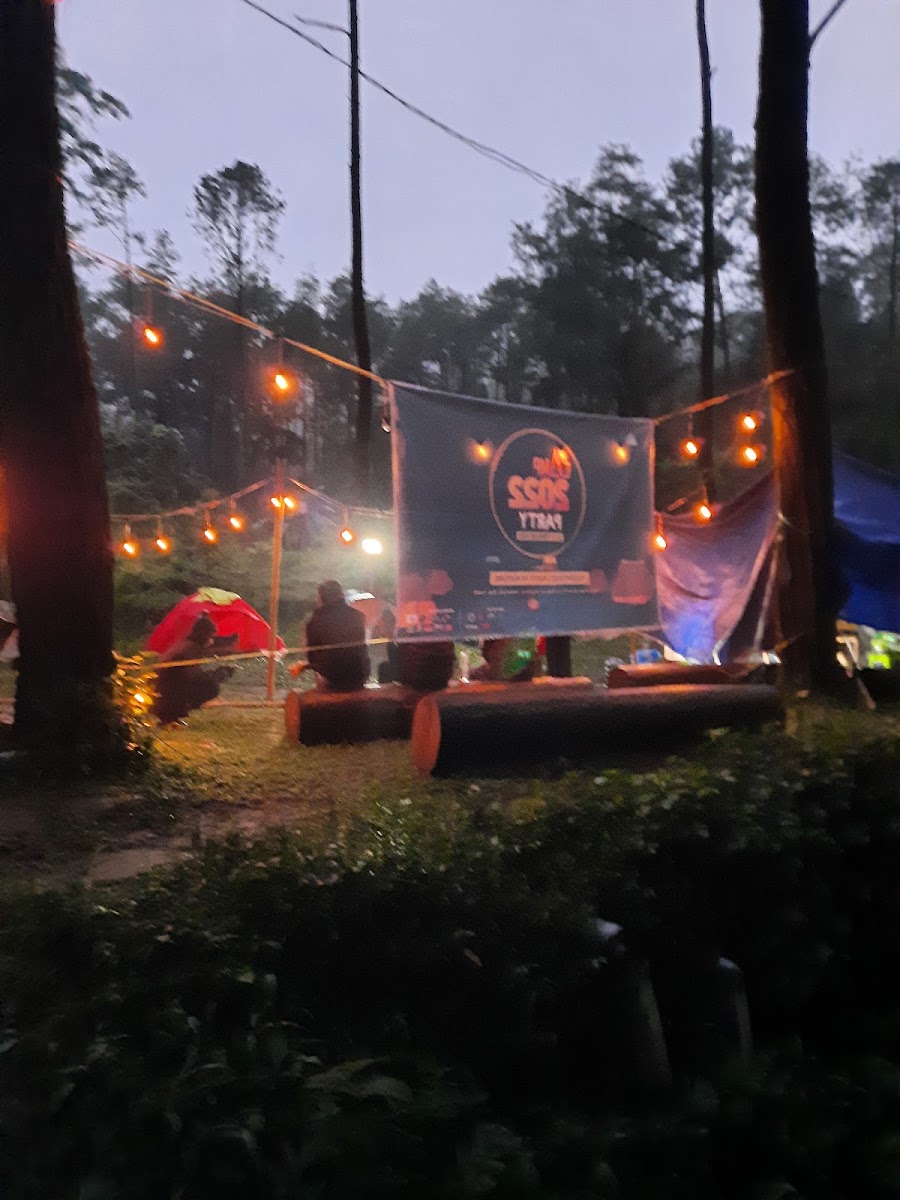 Wana Wisata Hutan Pinus Nglimut