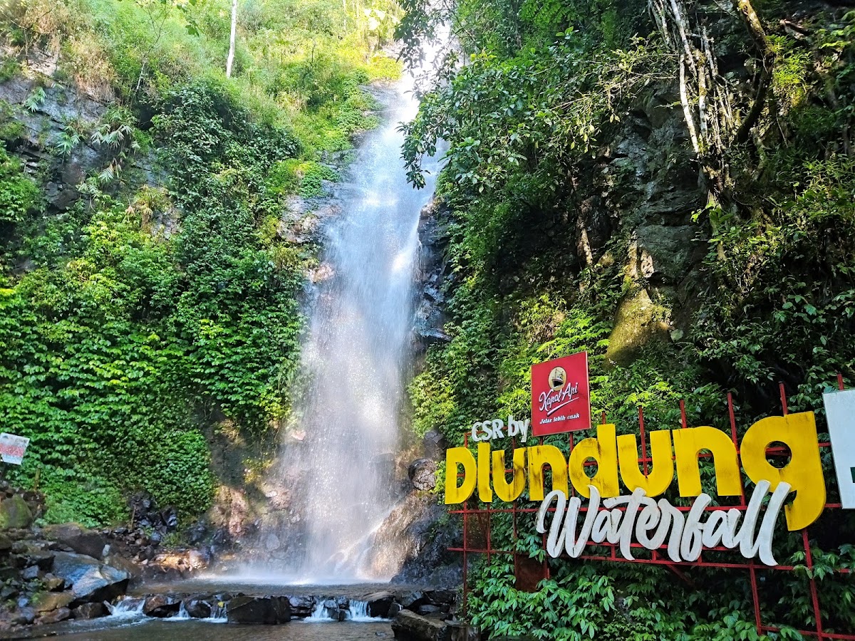 Wana Wisata Bumi Perkemahan Air Terjun Dlundung