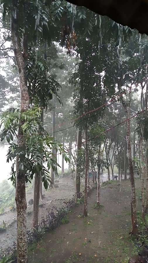 GENTING CAMPING GROUND (BUKIT BINTANG SABRANGAN)