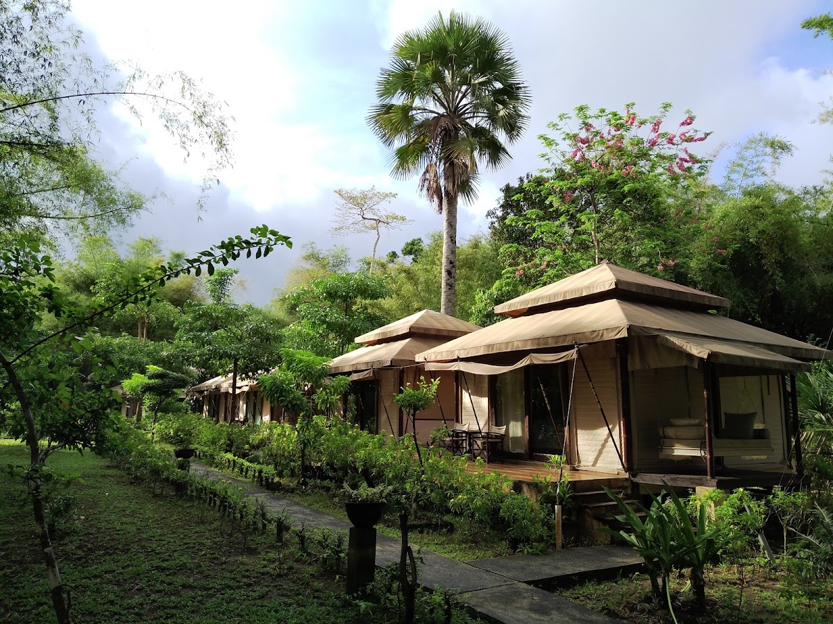 Jawa Jiwa G-land Surf Camp & Luxury Glamping