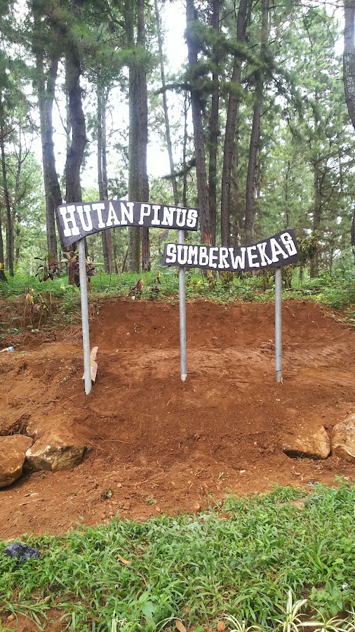 Hutan Pinus Sumber Wekas (HPS)