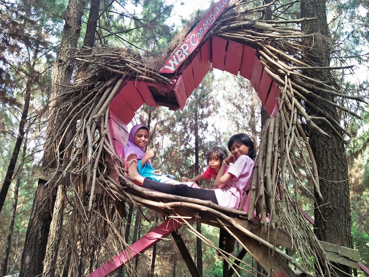 Wana Wisata Bukit Pinus Wonosalam