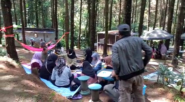 Wana Wisata Bukit Pinus Wonosalam
