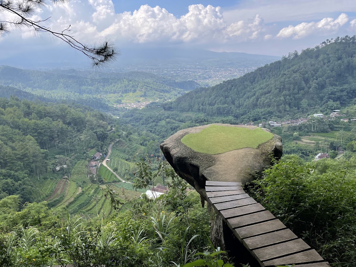 Gussari Goa Pinus Batu