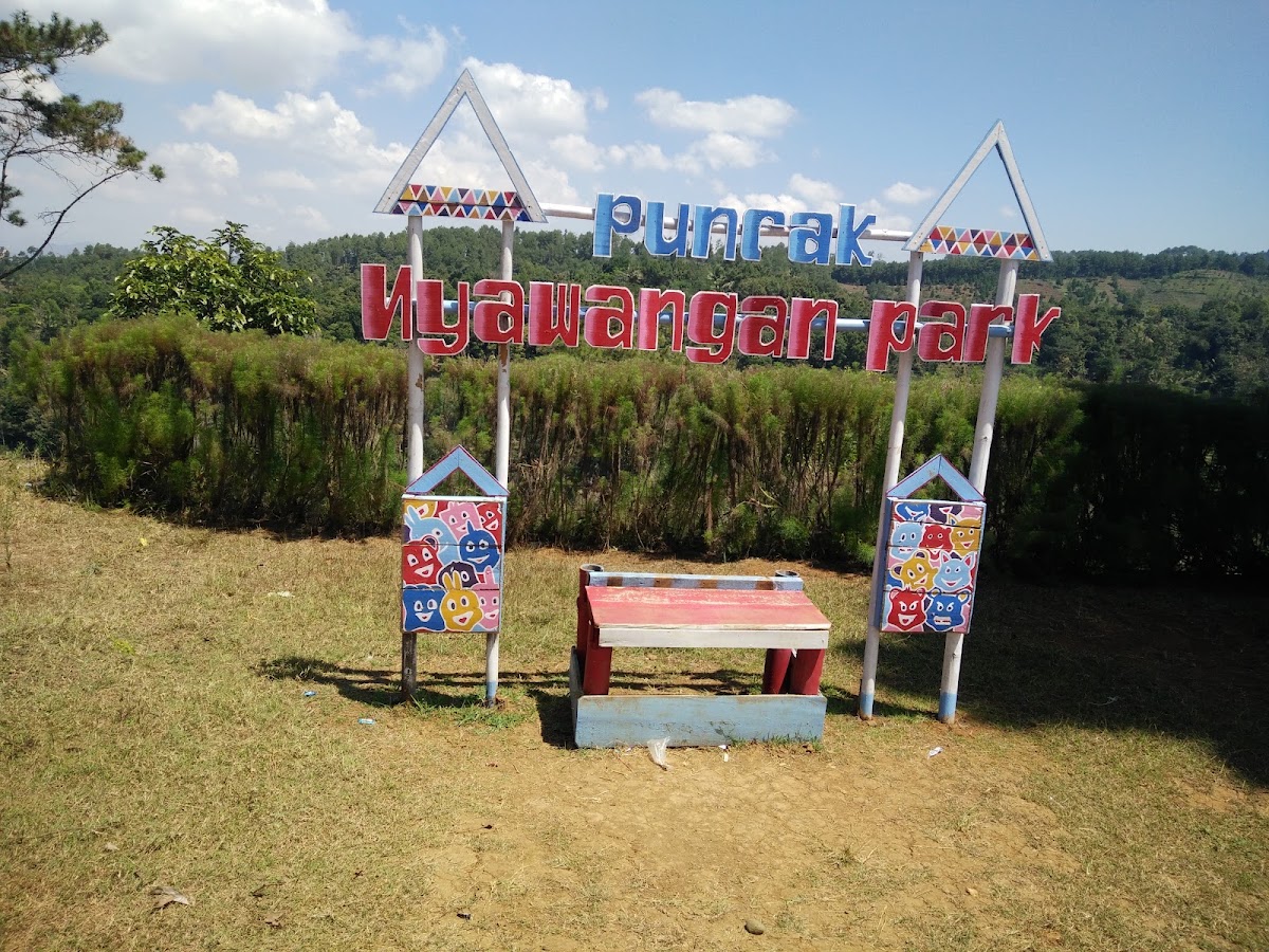 Wisata Hutan Pinus Nyawangan Park