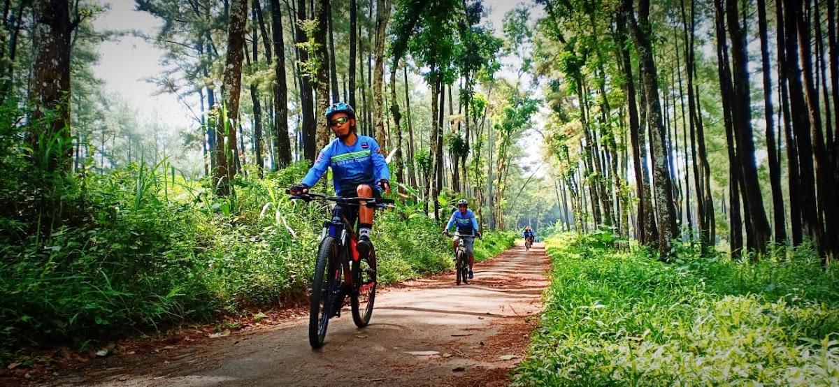 Hutan Pinus Umbulrejo