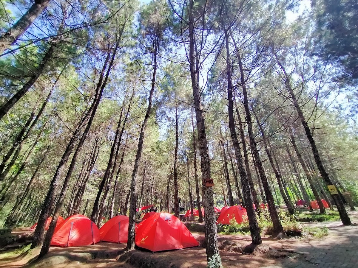 Taman Pinus Campervan Park