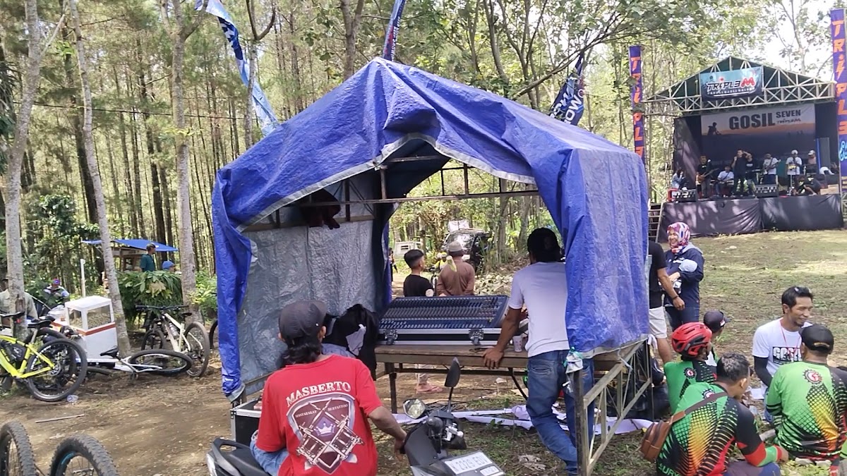 Hutan Pinus Serai