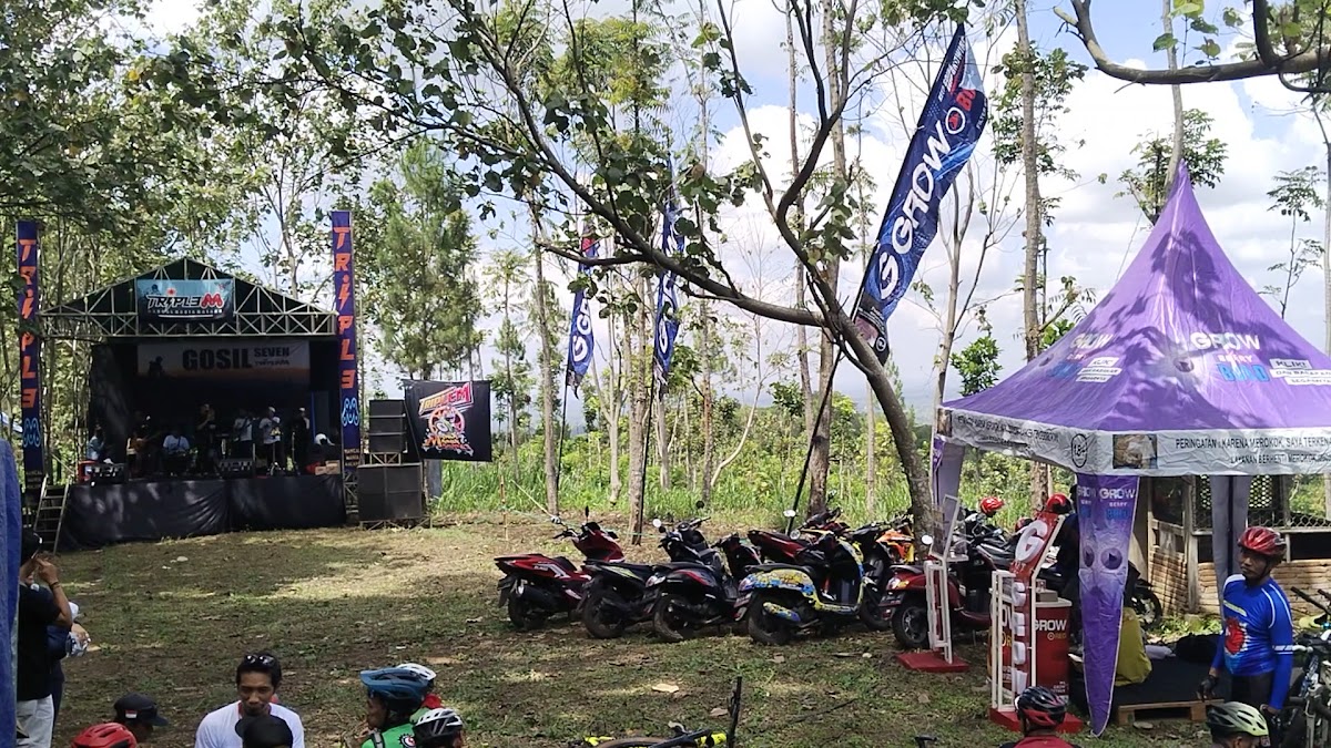 Hutan Pinus Serai