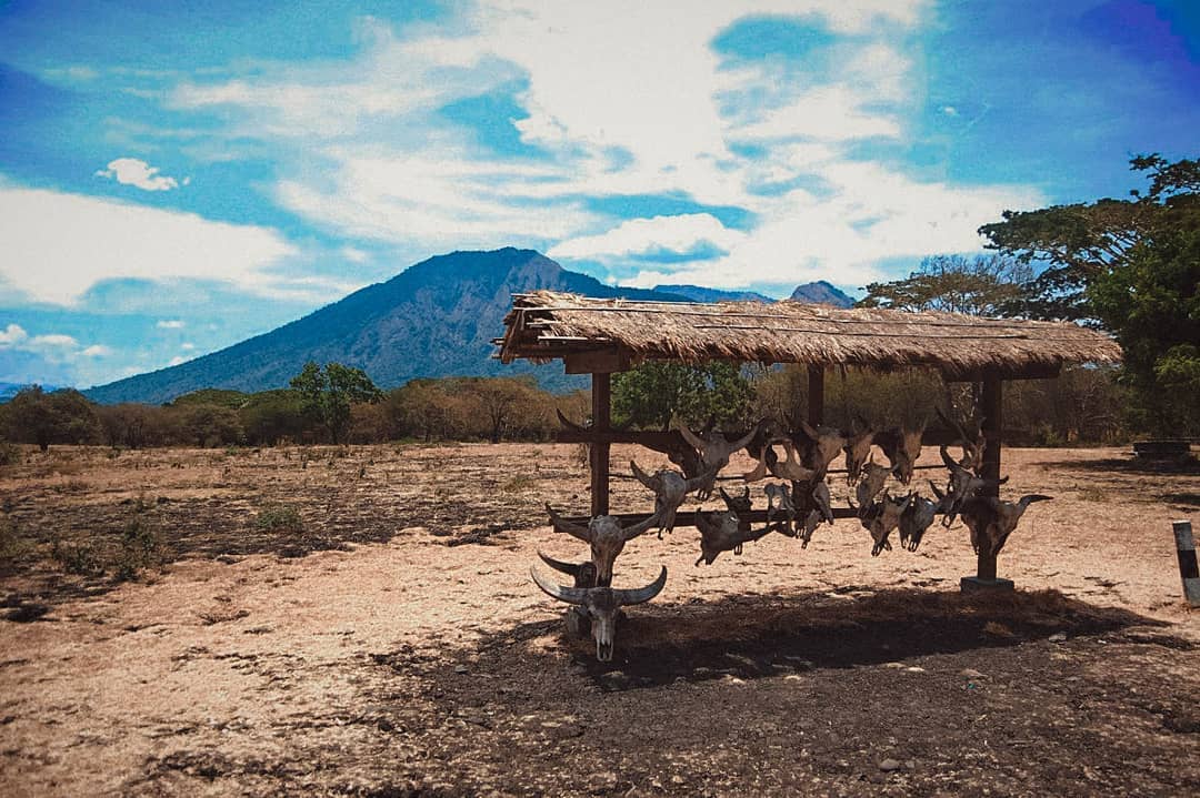 Taman Nasional Baluran