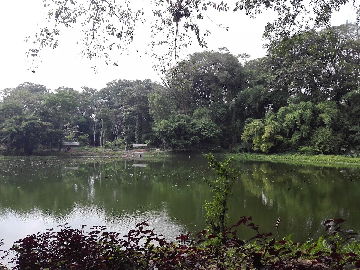 Taman Wisata Alam Paco