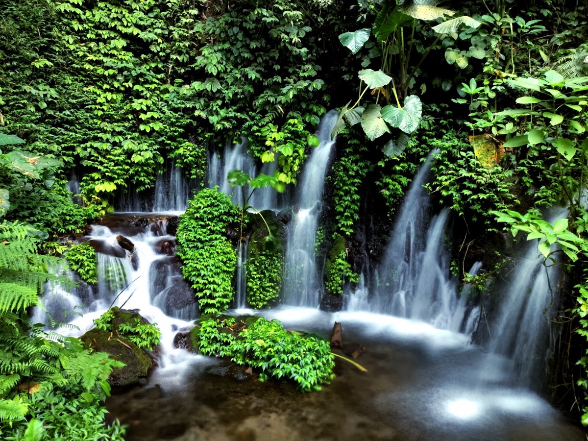 Air Terjun Sumber Pitu Tumpang