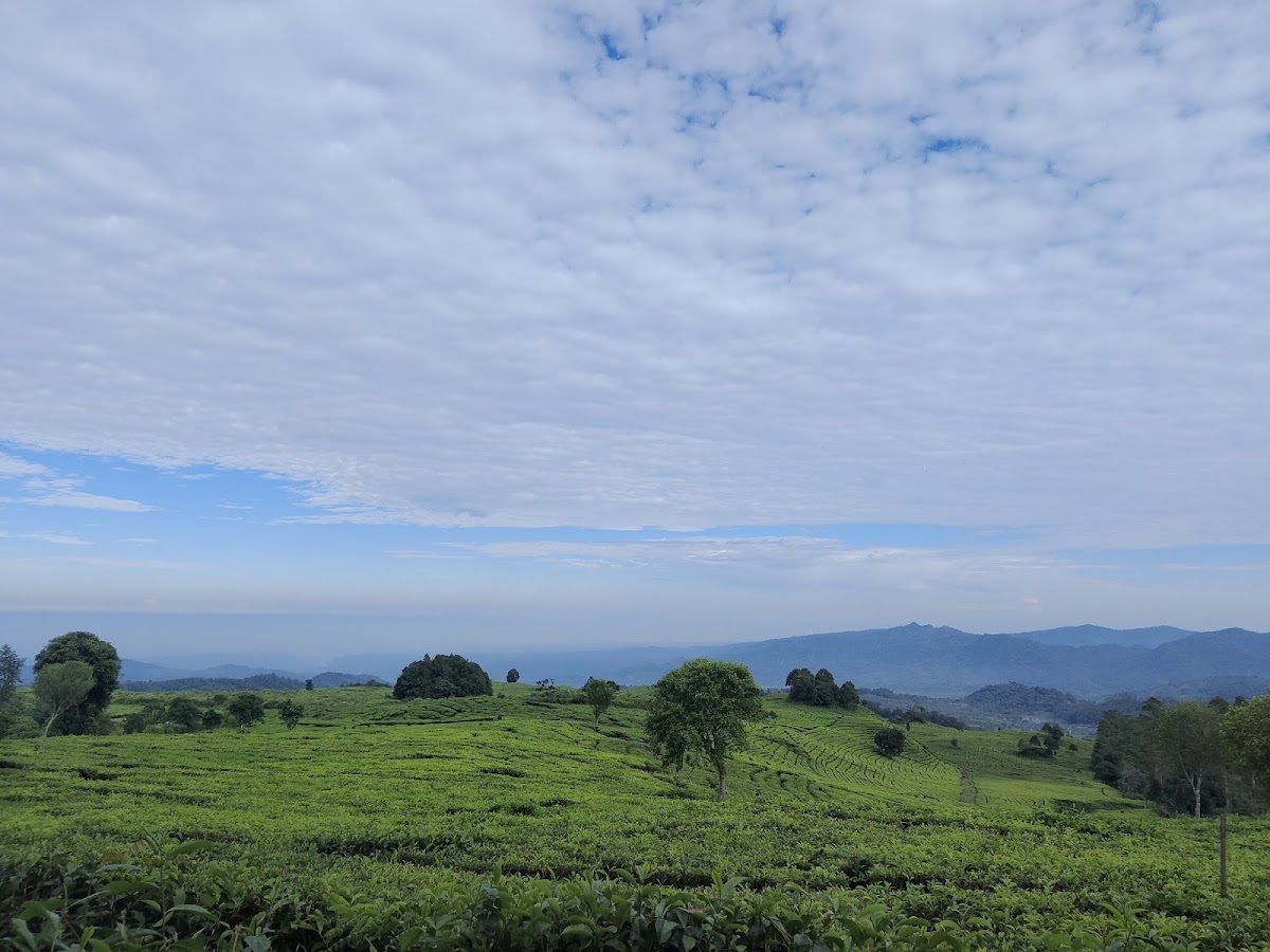 Jalur Pendakian Gunung Sepuh Via Sindang reret