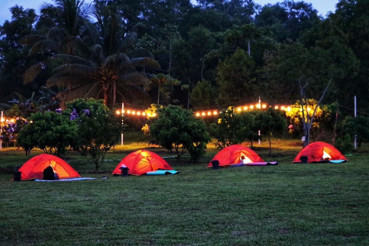 Bisa Camping