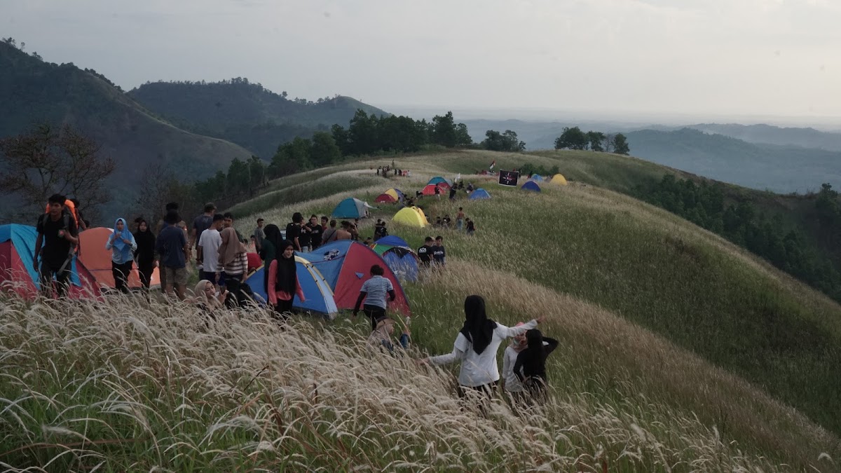 Bukit Bahu