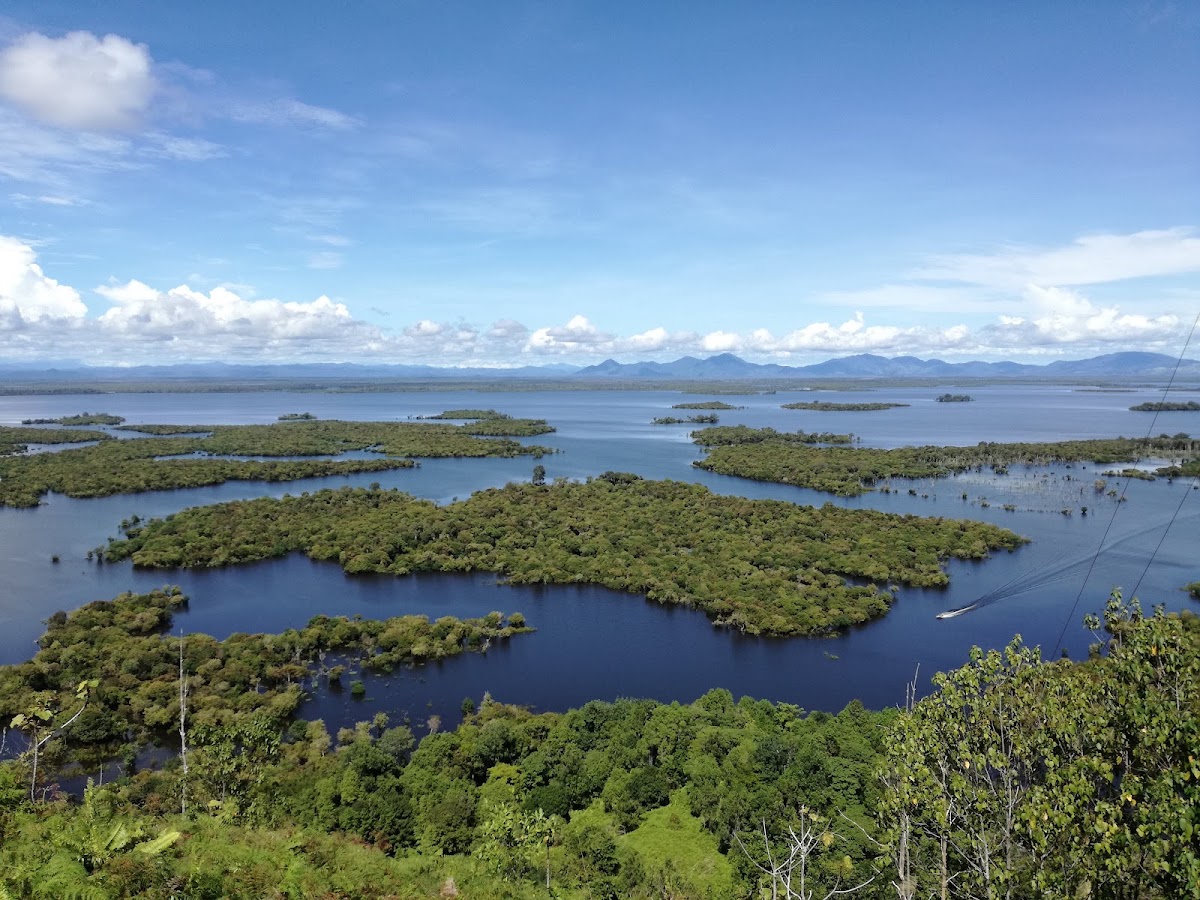 Taman Nasional Danau Sentarum