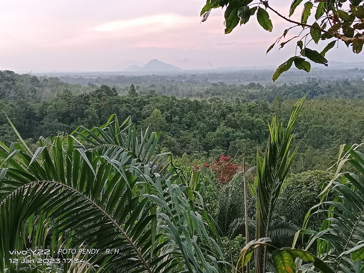 PUNCAK MELAWI