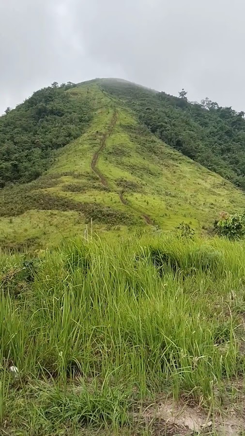 Bukit Telogah