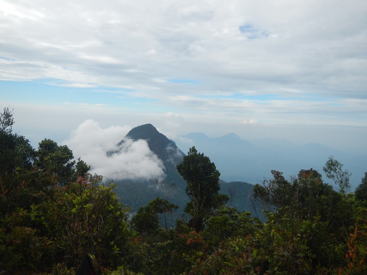 Gunung Bawang