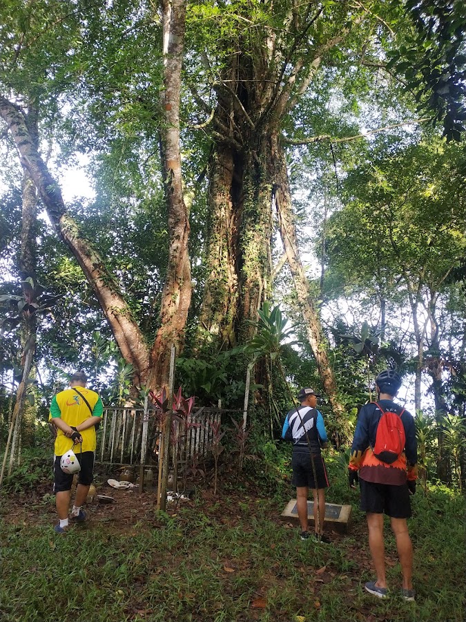 Bukit Rel