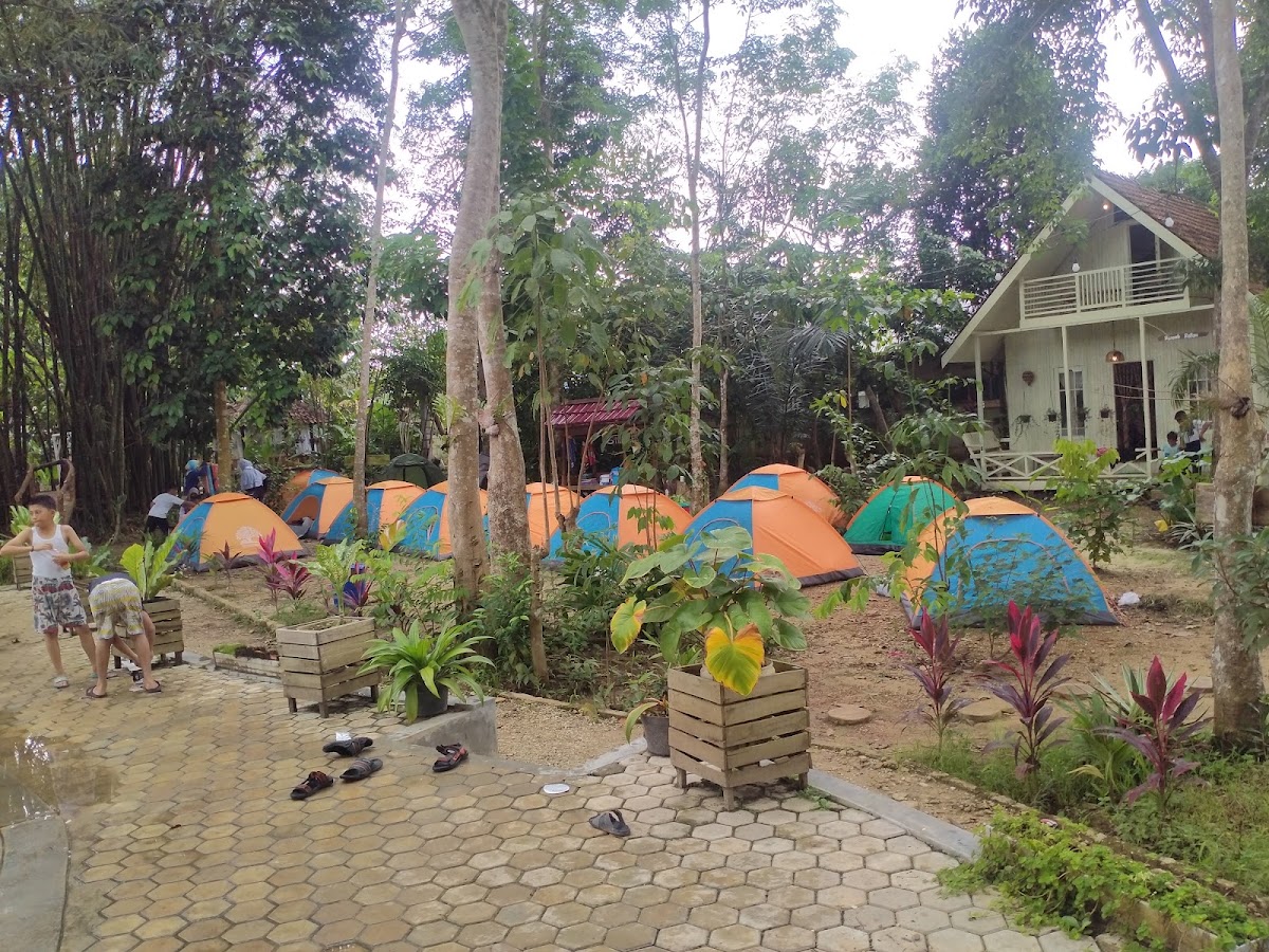 Bangkal Forest