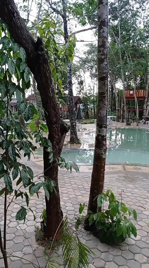 Bangkal Forest