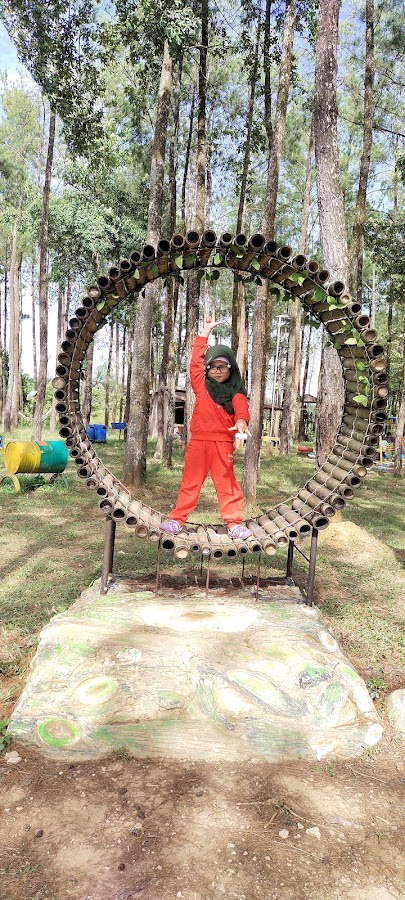Wisata hutan pinus sungai danau