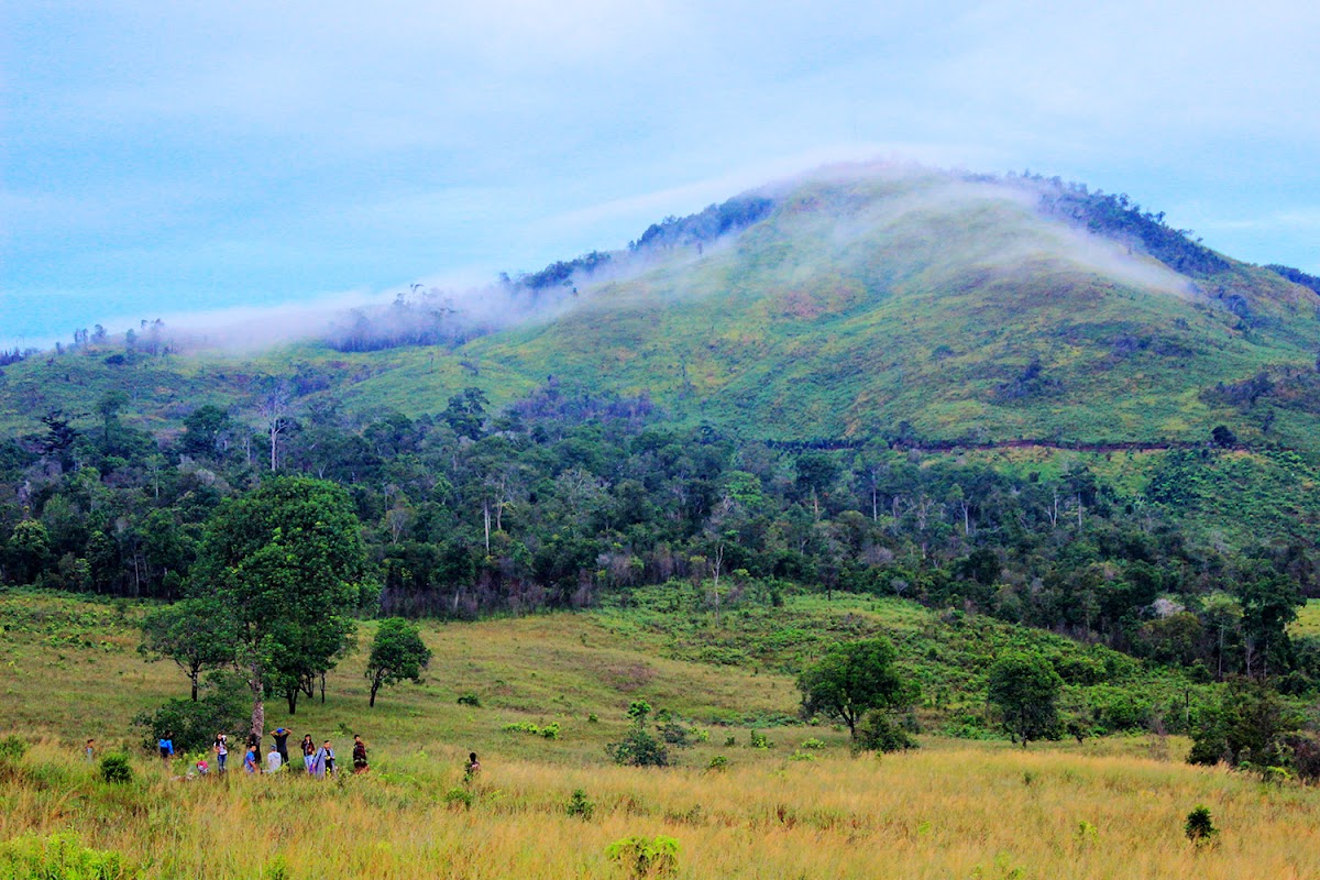 Air terjun tirai hujan
