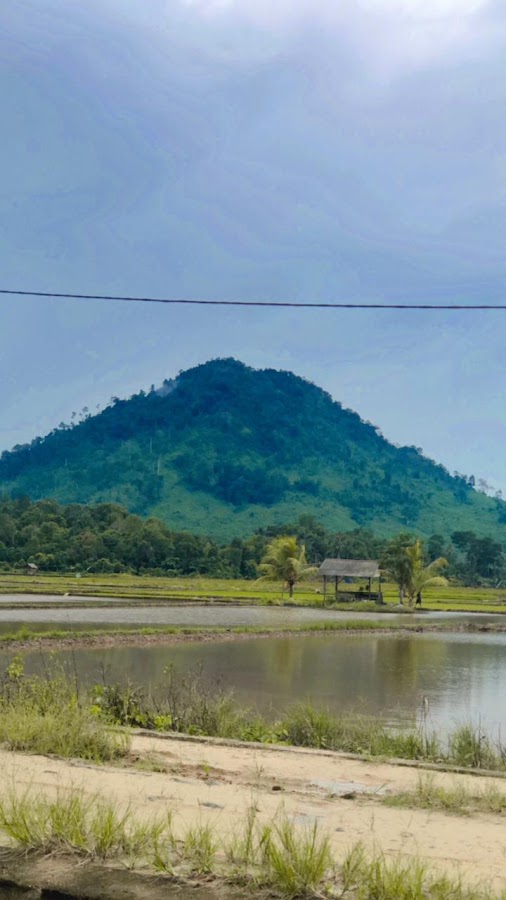 Gunung Jambangan