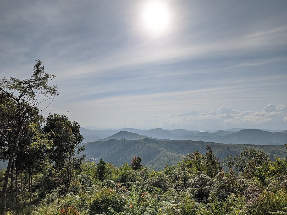 Bukit Manjai