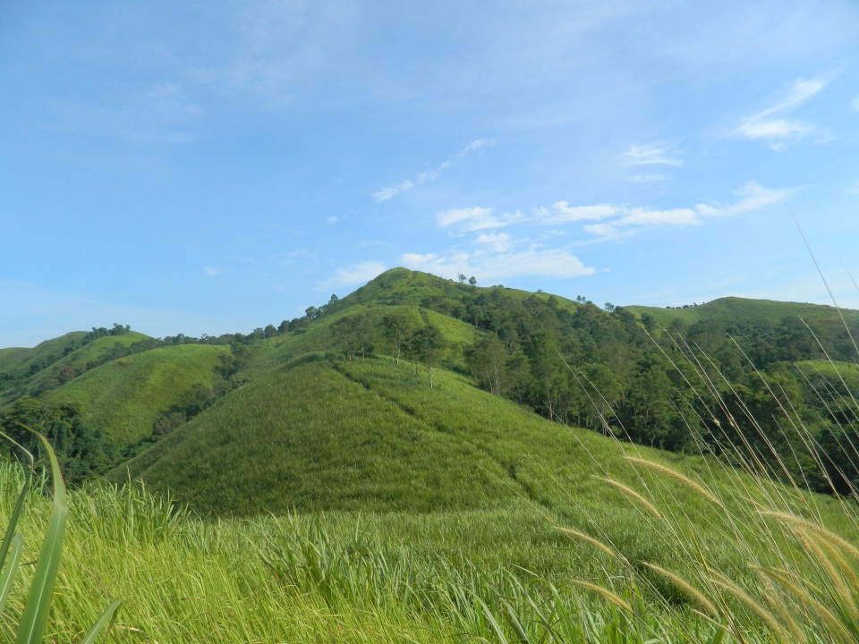 Bukit Telang