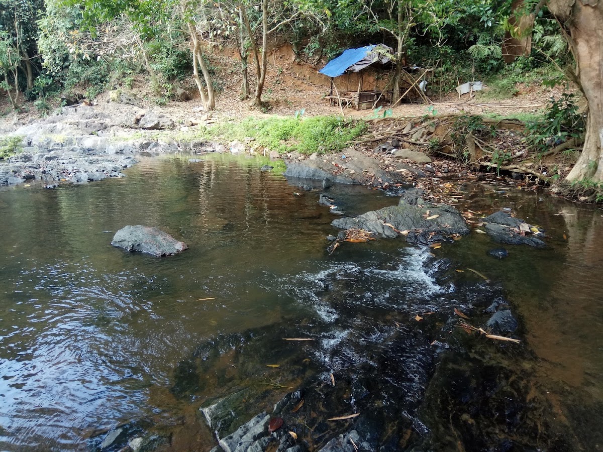 Wisata Arus Alam Sungai Kembang