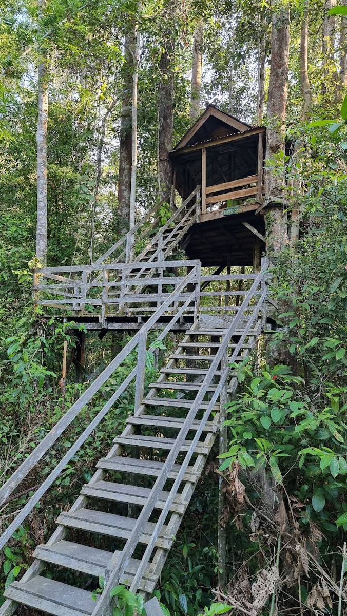 Wisata Alam Jurung Tiga
