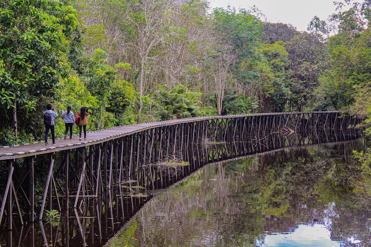 Wisata Alam Dukuh Betung