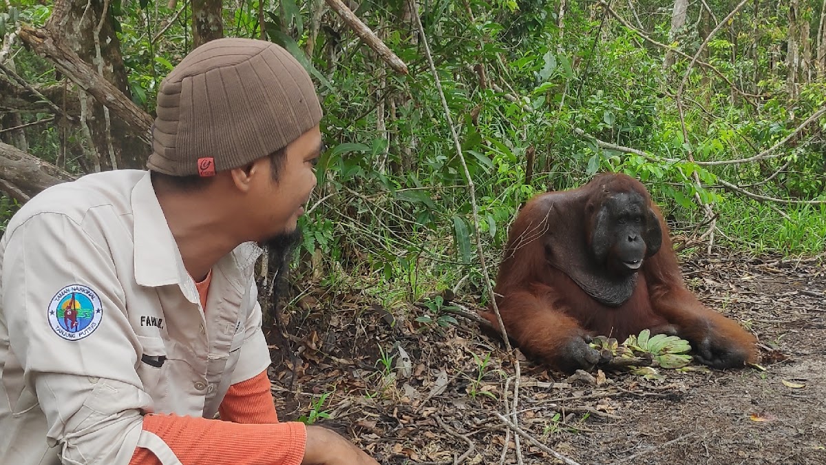 Tanjung Puting National Park