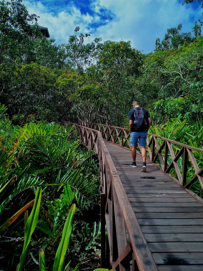 Taman Wisata Alam Pulau Bakut