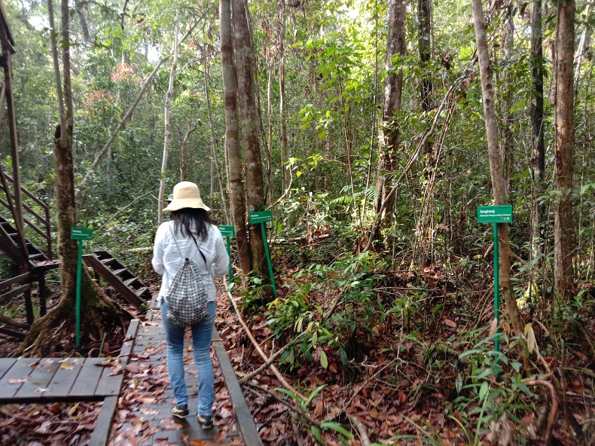 Sungai Koran Resort