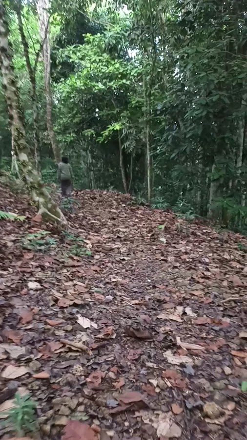 Berambai Adventure Park