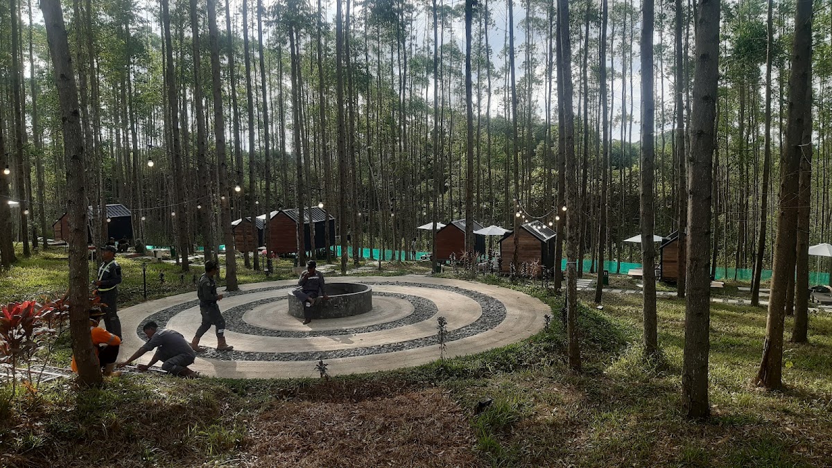 Camp T.36