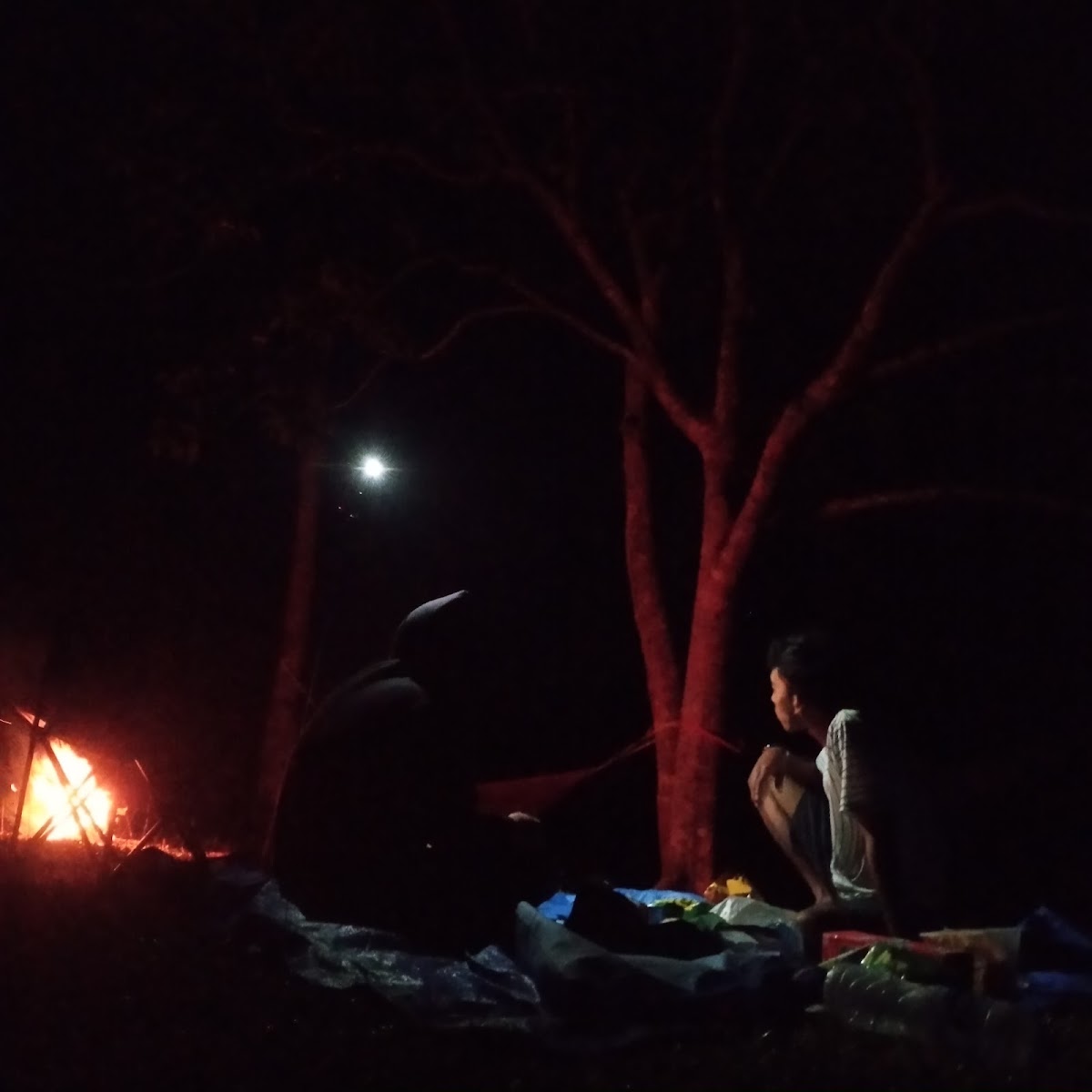 area camping cowpasturedland