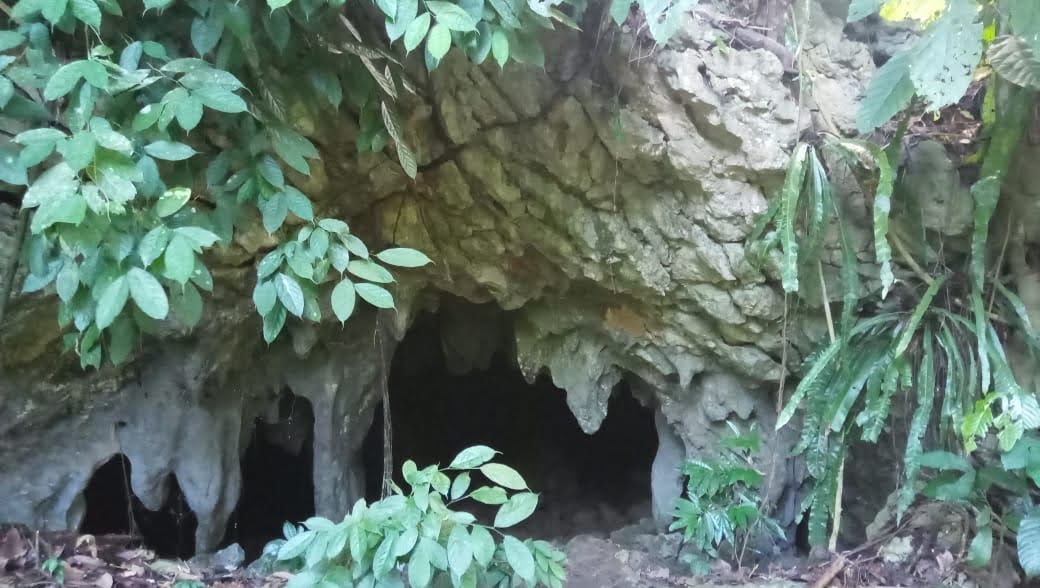 Puncak Samarinda 2 (ELC BERAMBAI)