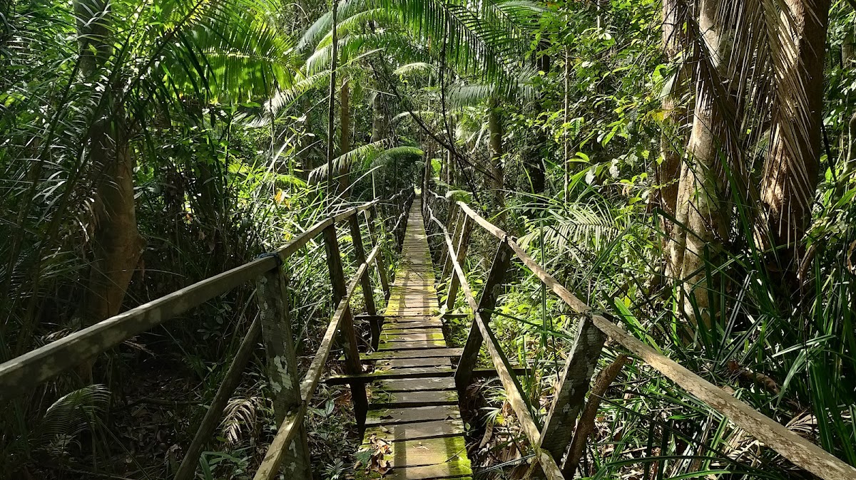 Ekowisata Hutan Lindung Sungai Wain