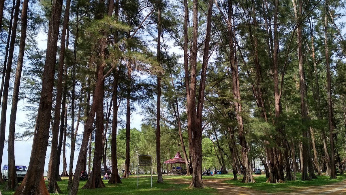 Pantai Tanah Merah Tanjung Harapan