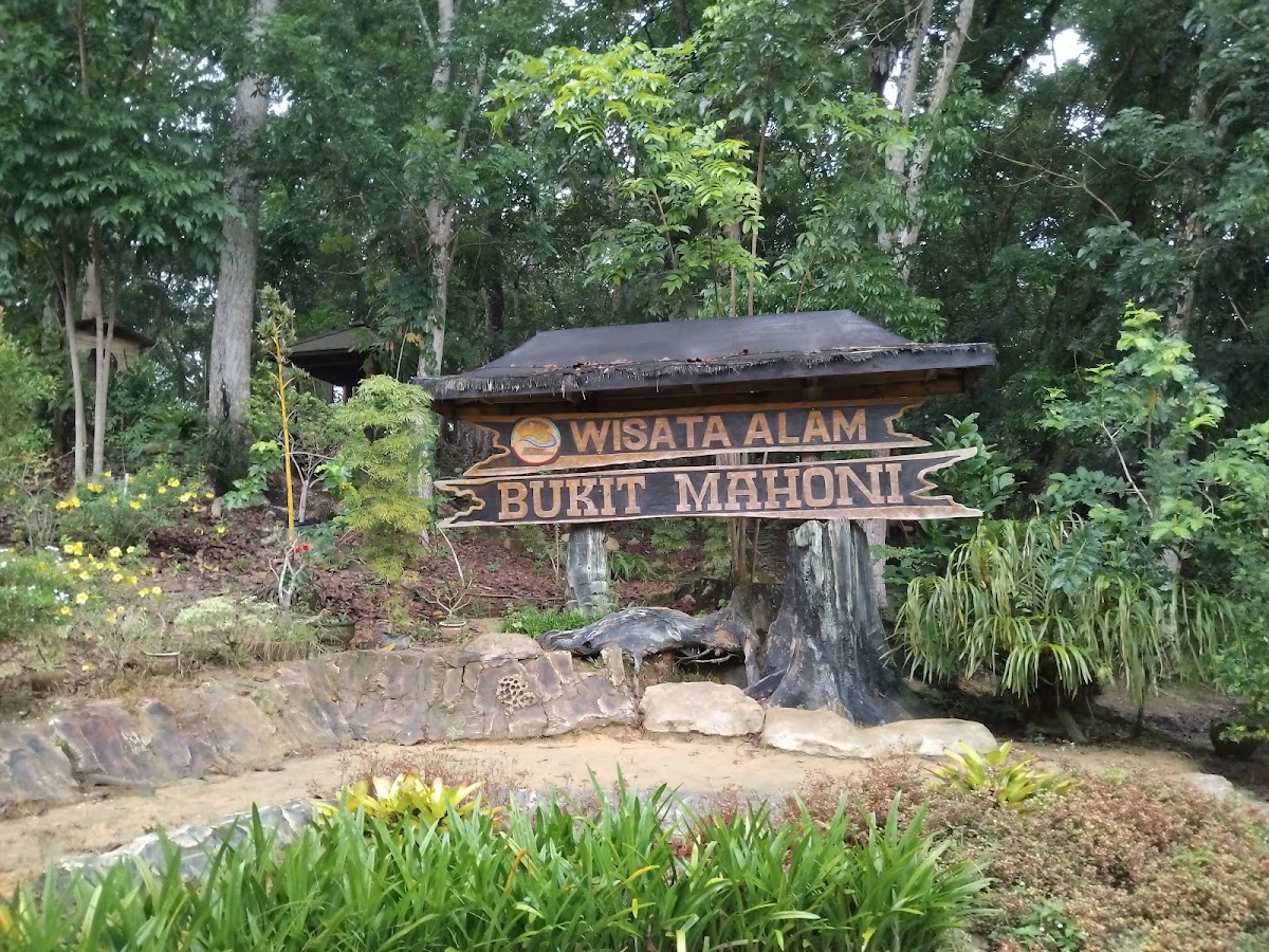Bukit Mahoni
