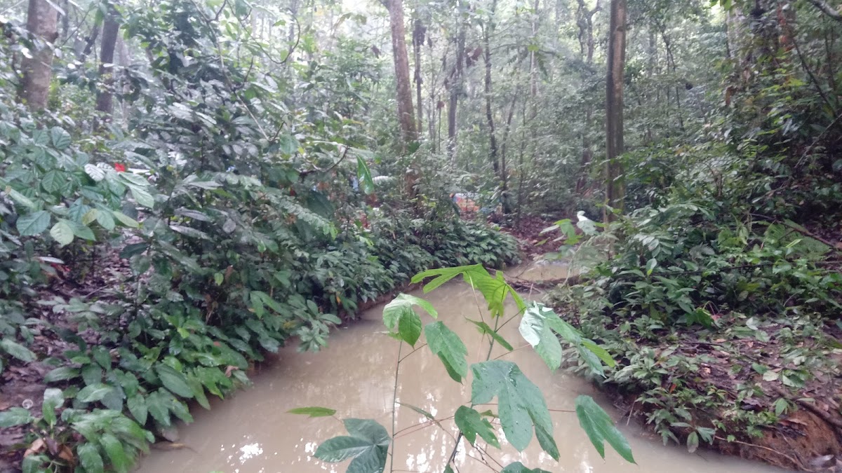 Air terjun batu cermin